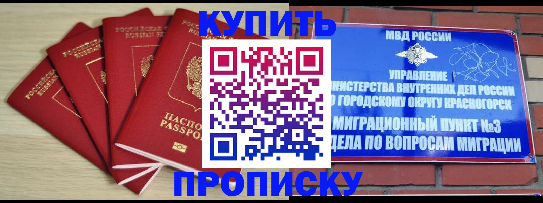 временная регистрация для всех в Зиме